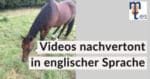 Stuckenberg-Videos-nachvertont_Portfolio_225x118